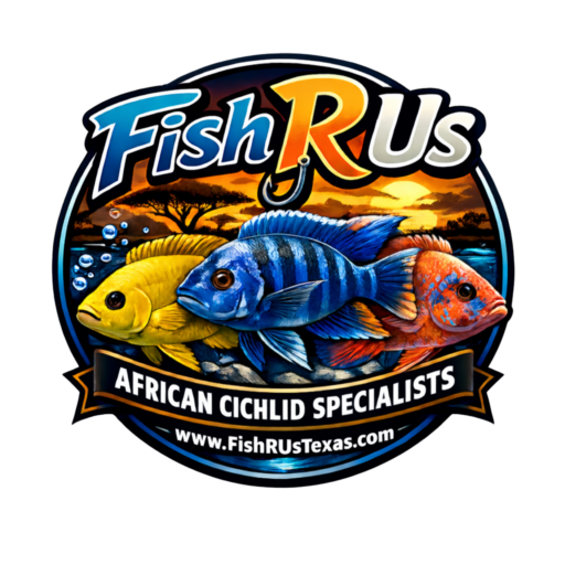 Fish R Us
