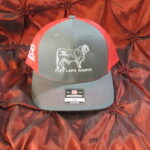 Red/Grey